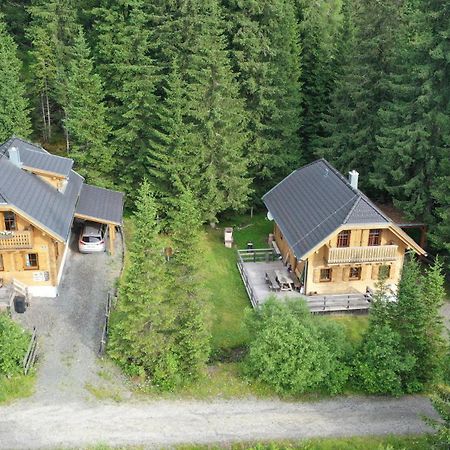 Almhaus & Almchalet Flattnitz Exterior foto